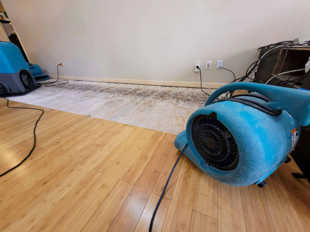 Professional Structural Drying technician working in West Newton, MA